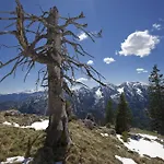 Hotel-restaurant Zum Hirschhaus Inklusiv Chiemgaukarte 3* Ruhpolding